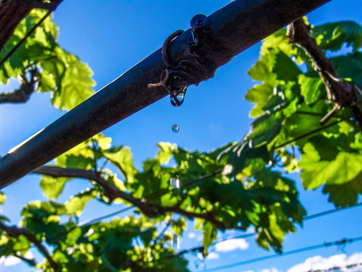 Estos equipos vitales brindan a los productores y viticultores de Mendoza el acceso esencial a una distribución de agua consistente, confiable y eficiente a sus campos. </span>
