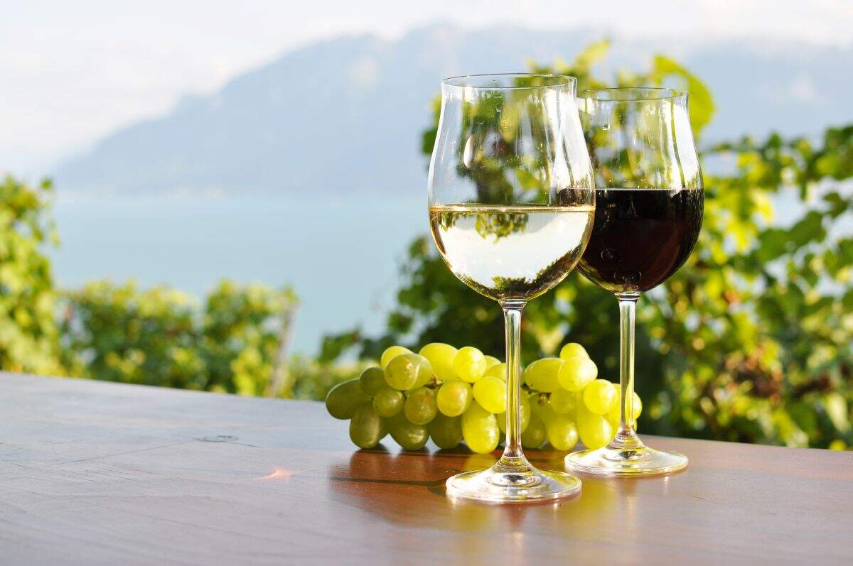 El vino es un arte que sólo un experto en logística será capaz de tratarlo como lo que es. El vino es un arte que sólo un experto en logística será capaz de tratarlo como lo que es.